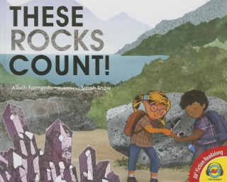 Könyv These Rocks Count! Alison Formento