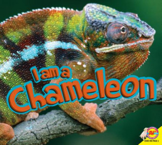 Buch I am a Chameleon Aaron Carr