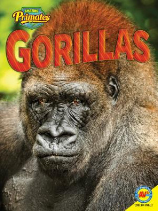 Book Gorillas Pamela McDowell