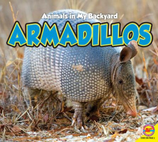 Carte Armadillos Aaron Carr