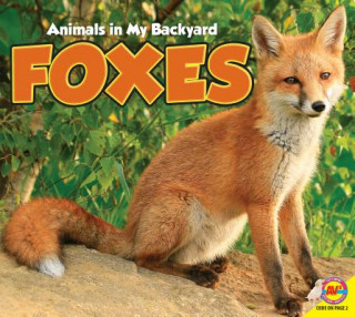 Könyv Foxes Aaron Carr