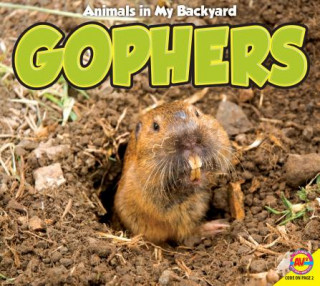 Book Gophers Aaron Carr