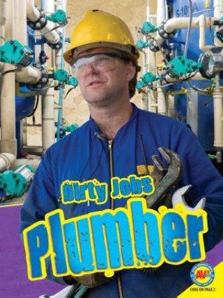 Kniha Plumber Simon Rose