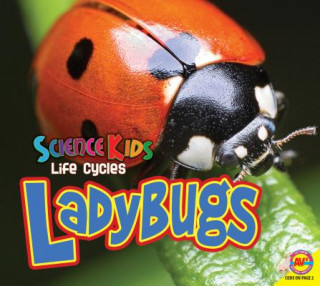 Knjiga Ladybugs Aaron Carr