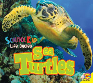 Carte Sea Turtles Aaron Carr