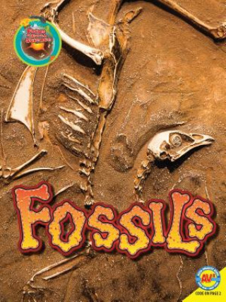 Book Fossils Megan Lappi