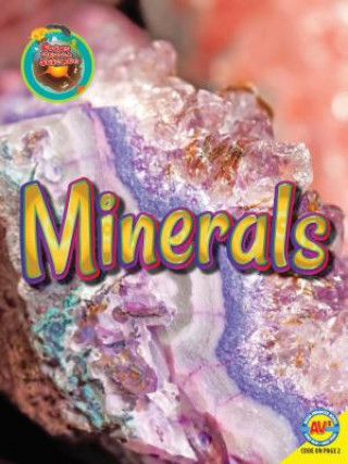 Knjiga Minerals Patricia Miller-Schroeder