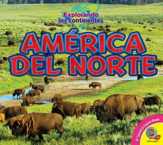 Carte América del Norte / North America Alexis Roumanis