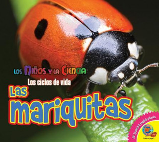 Knjiga Las mariquitas / Ladybugs Aaron Carr