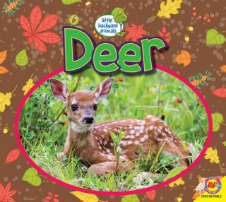 Könyv Deer Samantha Nugent