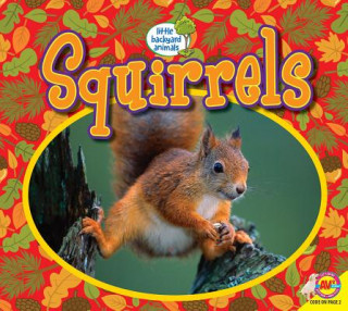 Kniha Squirrels John Willis