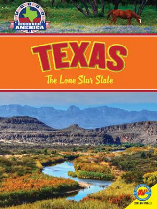 Книга Texas Janice Parker