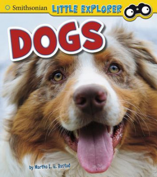 Buch Dogs Martha E. H. Rustad