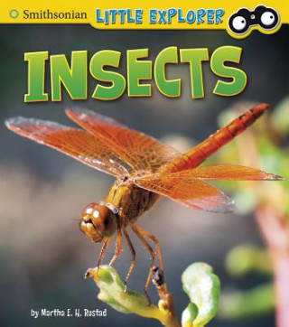 Kniha Insects Martha E. H. Rustad