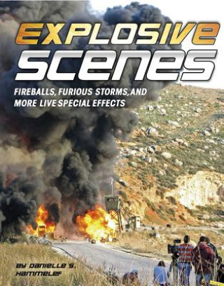 Buch Explosive Scenes Danielle S. Hammelef