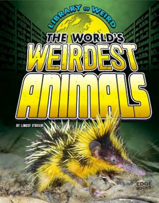 Kniha The World's Weirdest Animals Lindsy O'Brien