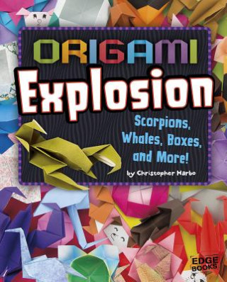 Boek Origami Explosion Christopher Harbo