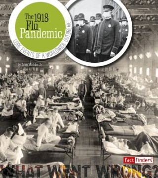 Könyv The 1918 Flu Pandemic John Micklos