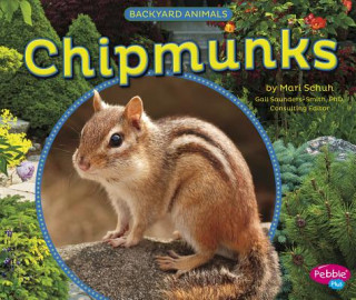Buch Chipmunks Mari Schuh