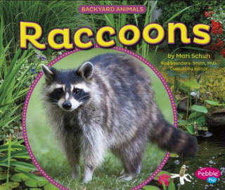 Kniha Raccoons Mari Schuh