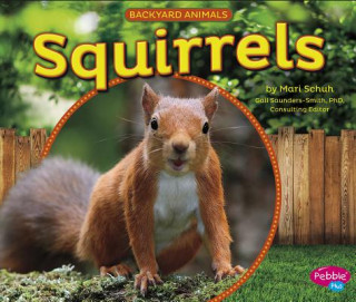 Kniha Squirrels Mari Schuh