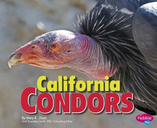 Kniha California Condors Mary R. Dunn