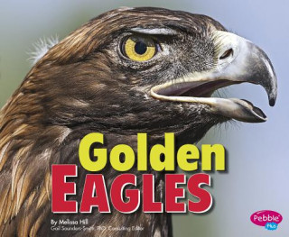 Kniha Golden Eagles Melissa Hill