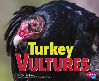 Kniha Turkey Vultures Mary R. Dunn