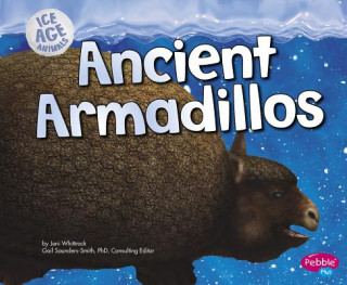 Könyv Ancient Armadillos Jeni Wittrock