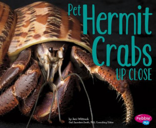 Kniha Pet Hermit Crabs Up Close Jeni Wittrock