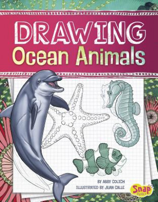 Carte Drawing Ocean Animals Abby Colich