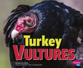 Knjiga Turkey Vultures Mary R. Dunn