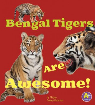 Buch Bengal Tigers Are Awesome! Megan Cooley Peterson