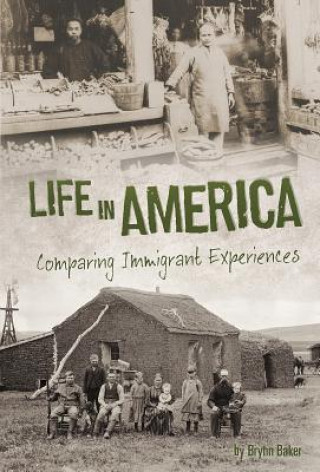 Könyv Life in America Brynn Baker