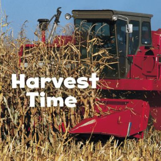 Kniha Harvest Time Erika L. Shores