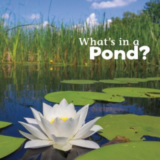 Kniha What's in a Pond? Martha E. H. Rustad