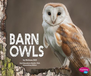 Könyv Barn Owls Melissa Hill
