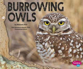 Kniha Burrowing Owls Melissa Hill