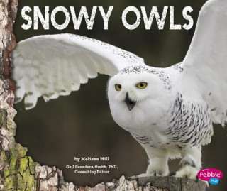 Könyv Snowy Owls Melissa Hill