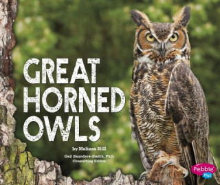 Könyv Great Horned Owls Melissa Hill