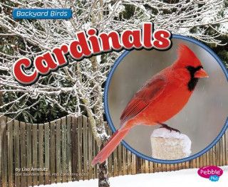 Book Cardinals Lisa J. Amstutz