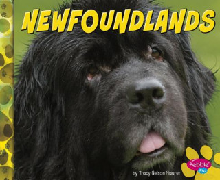 Książka Newfoundlands Allan Morey