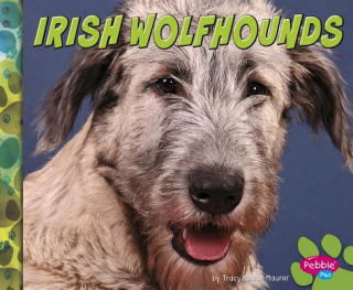 Książka Irish Wolfhounds Allan Morey