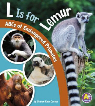 Carte L Is for Lemur Sharon Katz Cooper
