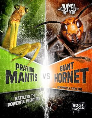 Carte Praying Mantis vs. Giant Hornet Alicia Z. Klepeis