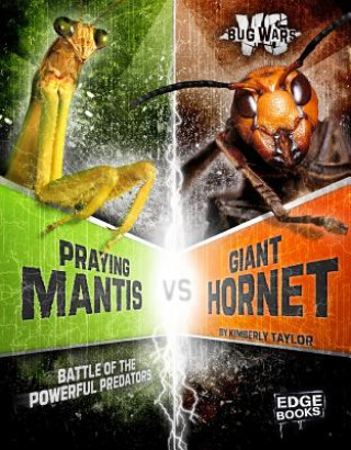 Buch Praying Mantis vs. Giant Hornet Alicia Z. Klepeis