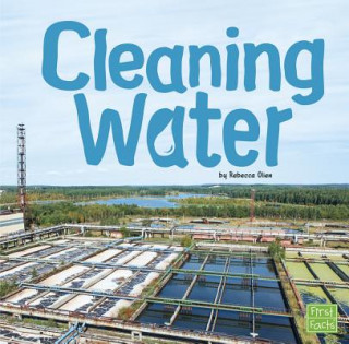 Kniha Cleaning Water Rebecca Olien