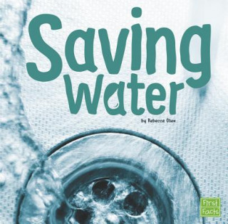 Kniha Saving Water Rebecca Olien
