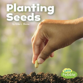 Könyv Planting Seeds Kathryn Clay