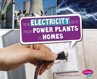 Knjiga How Electricity Gets from Power Plants to Homes Megan Cooley Peterson